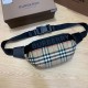 버버리 빈티지 체크 나일론 소니 가방 Vintage Check Nylon Sonny Bum Bag 80265571