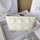 DIOR 디올 미디엄 디올트래블 노마드 파우치 Latte M030 S5554BMIG