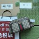 23FW 구찌 GG 슈프림 오피디아 뷰티케이스 751811 96IWT 8745