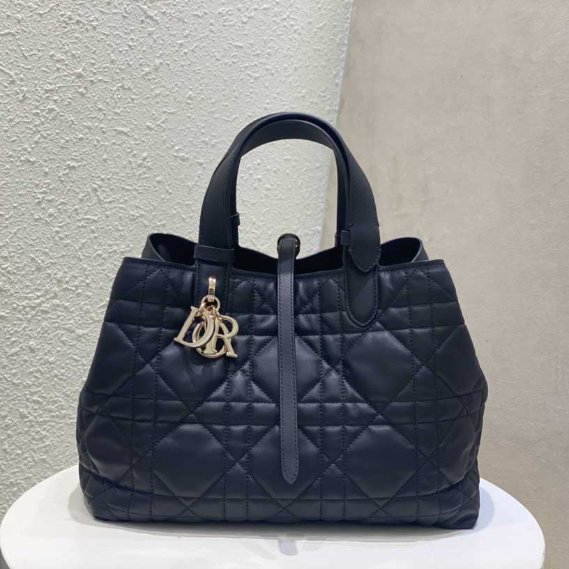 디올 뚜주흐 백 스몰-미듐-라지 TOUJOURS 토트백  M2821OSHJ