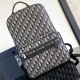 디올 DIOR 오블리크 사파리 백팩 2칼라 1ESBA175YKY H27E