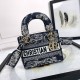 디올 24ss Lady D-Lite 미니 백 블루 M0500ORGO