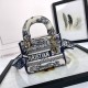 디올 레이디 디 라이트 백 미니 화이트 네이비 M0500OTDT