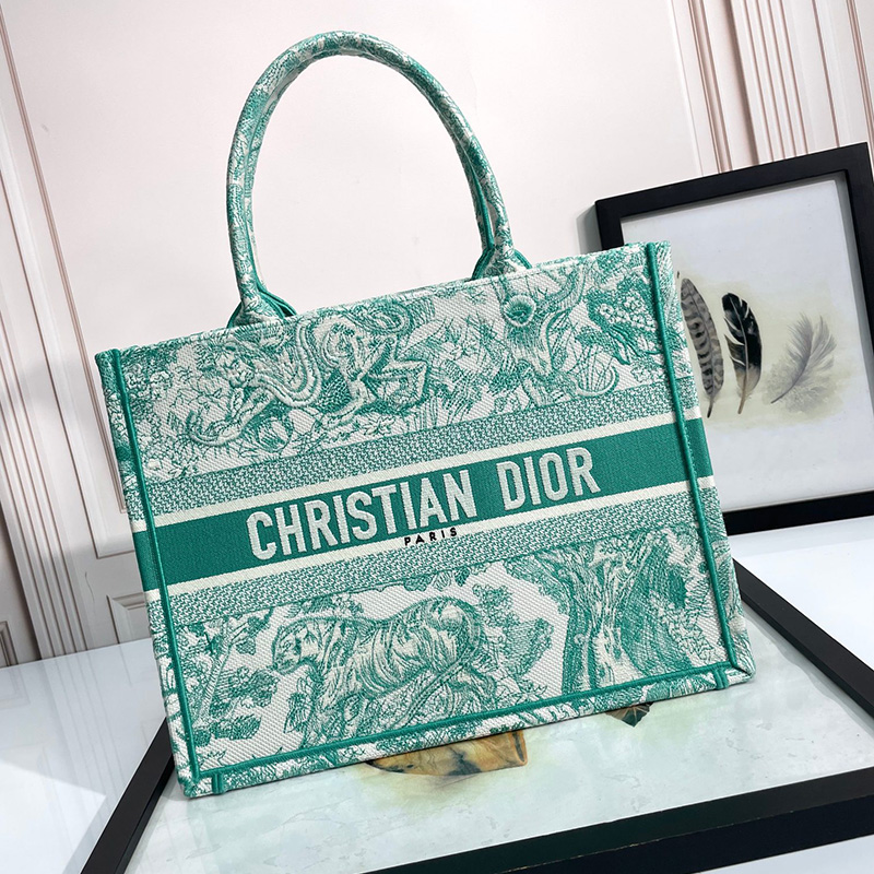 디올 사크 북 트 미디엄 M1296ZTDT M51E