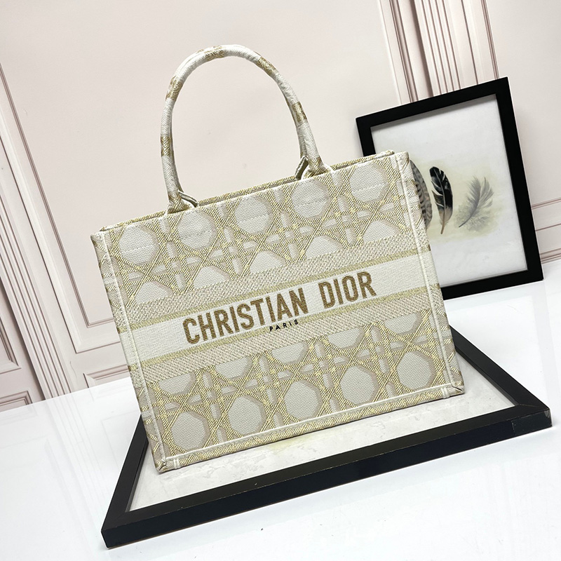 디올 방 북 트 미디엄 M1296ZZAZ M01E