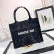 디올 북토트 백 스몰 블랙 M1296ZECY M911