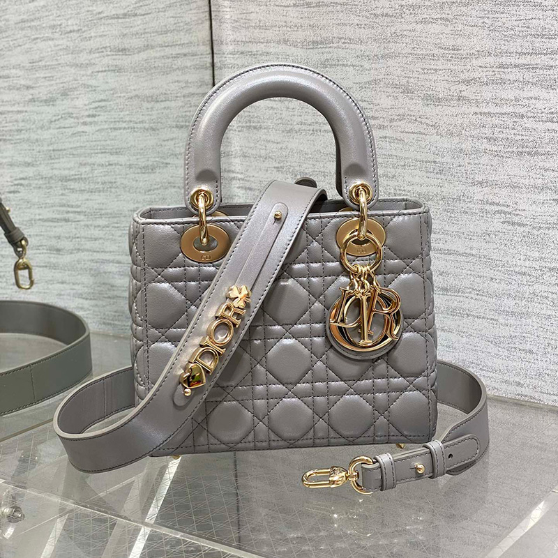 레이디 디올 백 스몰 까나쥬 스카이 실버 M0531ONII