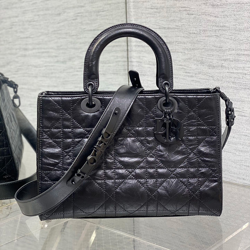 디올 레이디 디 사이어 마이 ABC 백 미듐 크링클 매크로 까나쥬 블랙 M1151SNIO