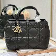 디올 뚜주흐 백 미듐 까나쥬 금장 2컬러 M2821OSHJ