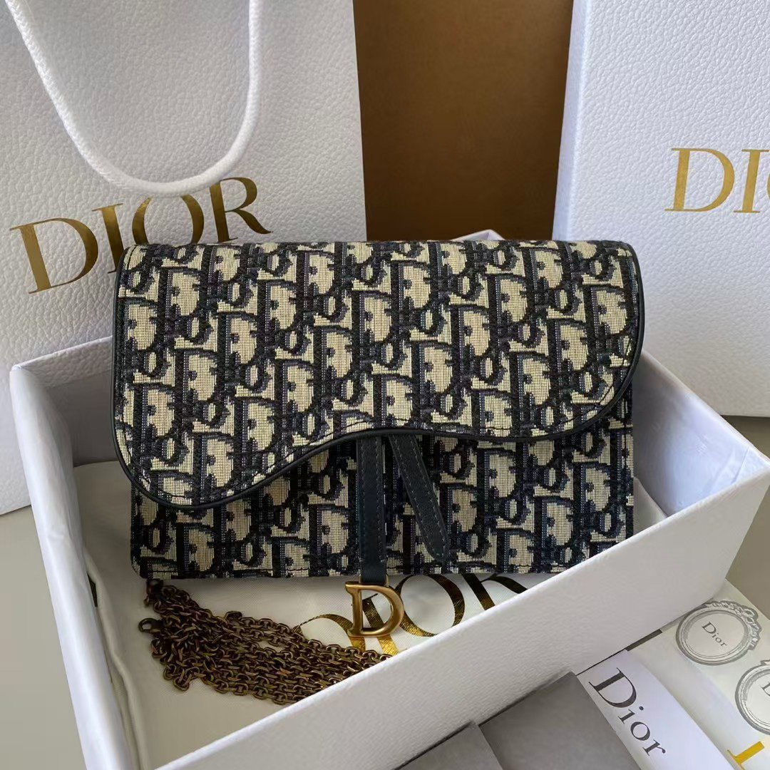 디올 오블리크 새들 체인 파우치 S5620CTZQ_M928