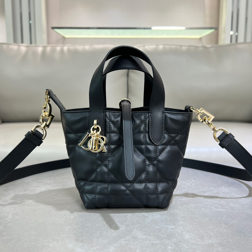 디올 25SS 뚜주흐 버티컬 토트백 나노 매크로까나쥬 파우더 4컬러 S6100OSNW