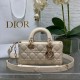 디올 레이디 디 조이 백 스몰 까나쥬  M0613ONGE