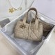 디올 뚜주흐 스몰 숄더백 베이지 토트백 M2822OSHJ